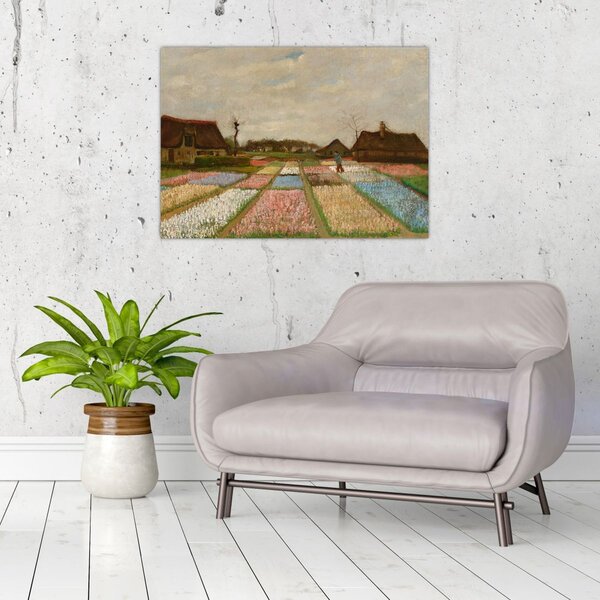 Obraz - Vincent van Gogh, Flower Beds in Holland, reprodukcje (70x50 cm)