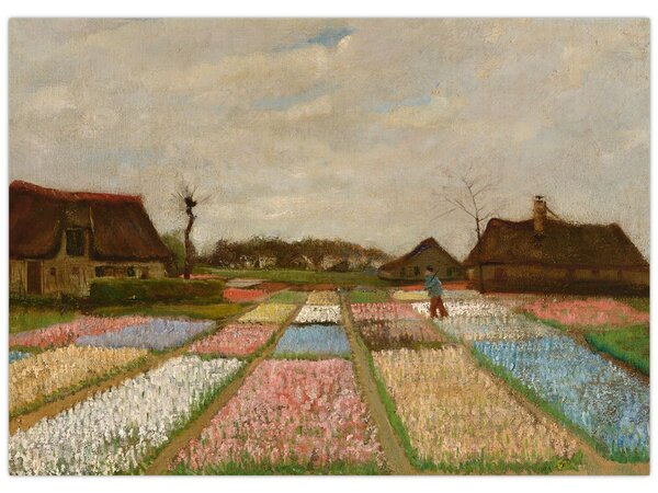 Obraz - Vincent van Gogh, Flower Beds in Holland, reprodukcje (70x50 cm)