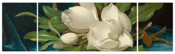 Obraz - Martin Johnson Heade, Giant Magnolias on a Blue Velvet Cloth, reprodukcje (170x50 cm)