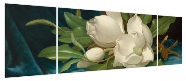 Obraz - Martin Johnson Heade, Giant Magnolias on a Blue Velvet Cloth, reprodukcje (170x50 cm)