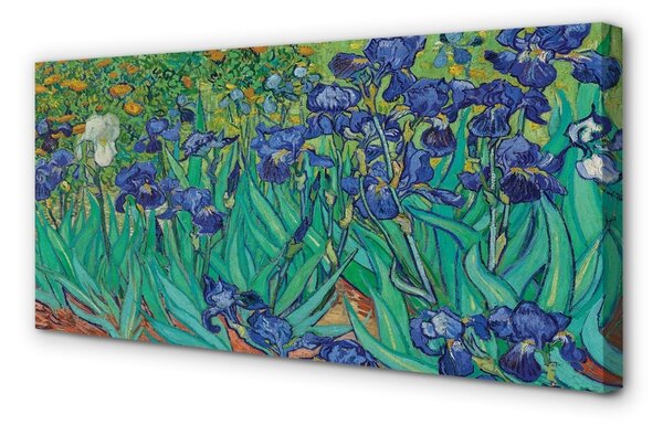 Obraz na płótnie Irysy - Vincent van Gogh