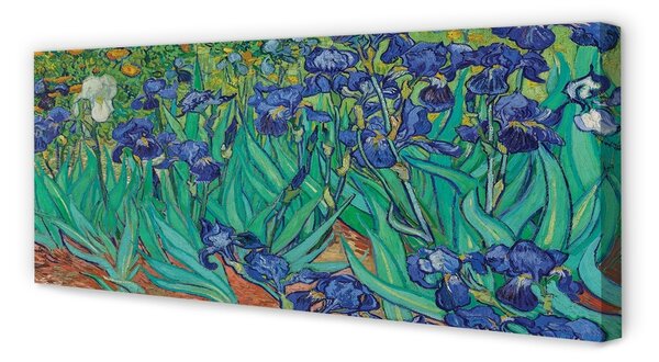 Obraz na płótnie Irysy - Vincent van Gogh
