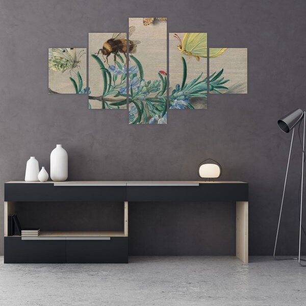 Obraz - Jan van Kessel the Elder, Insects and a Sprig of Rosemary, reprodukcje (125x70 cm)