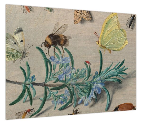 Obraz - Jan van Kessel the Elder, Insects and a Sprig of Rosemary, reprodukcje (70x50 cm)