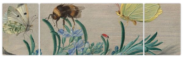 Obraz - Jan van Kessel the Elder, Insects and a Sprig of Rosemary, reprodukcje (170x50 cm)