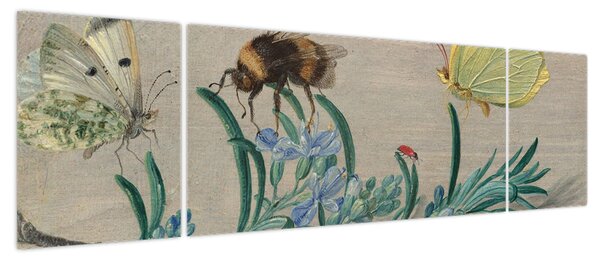 Obraz - Jan van Kessel the Elder, Insects and a Sprig of Rosemary, reprodukcje (170x50 cm)