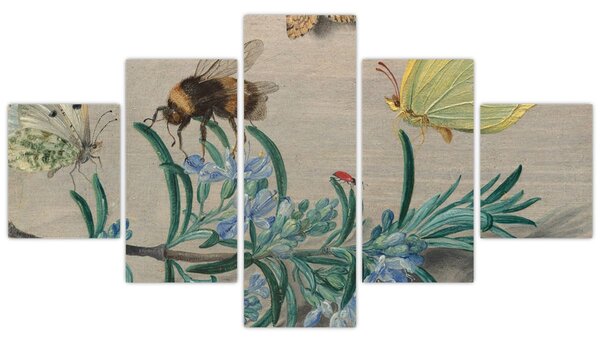 Obraz - Jan van Kessel the Elder, Insects and a Sprig of Rosemary, reprodukcje (125x70 cm)