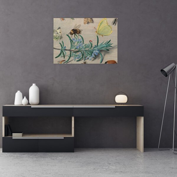 Obraz - Jan van Kessel the Elder, Insects and a Sprig of Rosemary, reprodukcje (70x50 cm)
