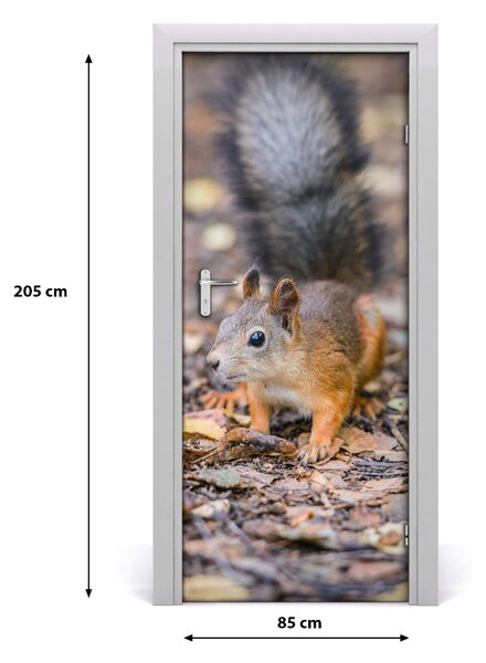 Naklejka samoprzylepna na drzwi Wiewiórka w lesie