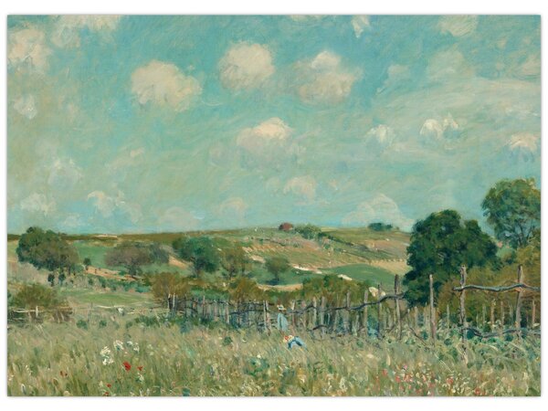 Obraz - Alfred Sisley, Meadow, reprodukcje (70x50 cm)