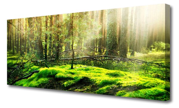 Obraz na płótnie Naturalny Zielony Mech
