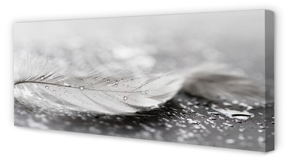 Obraz canvas na ścianę Delikatne Krople na Piórku