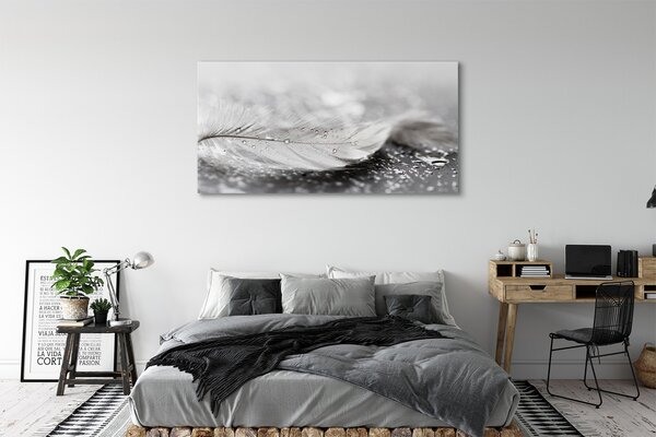 Obraz canvas na ścianę Delikatne Krople na Piórku