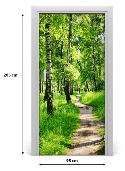 Naklejka fototapeta na drzwi Las brzozowy