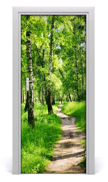 Naklejka fototapeta na drzwi Las brzozowy