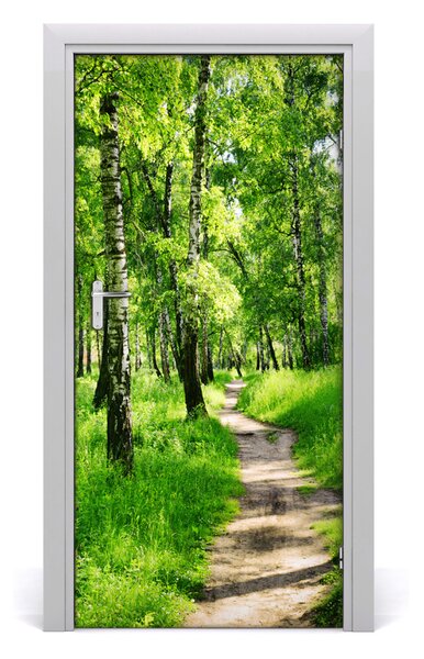 Naklejka fototapeta na drzwi Las brzozowy