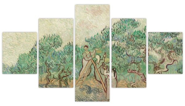 Obraz - Vincent van Gogh, The Olive Orchard, reprodukcje (125x70 cm)