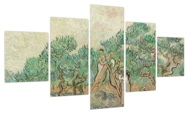 Obraz - Vincent van Gogh, The Olive Orchard, reprodukcje (125x70 cm)