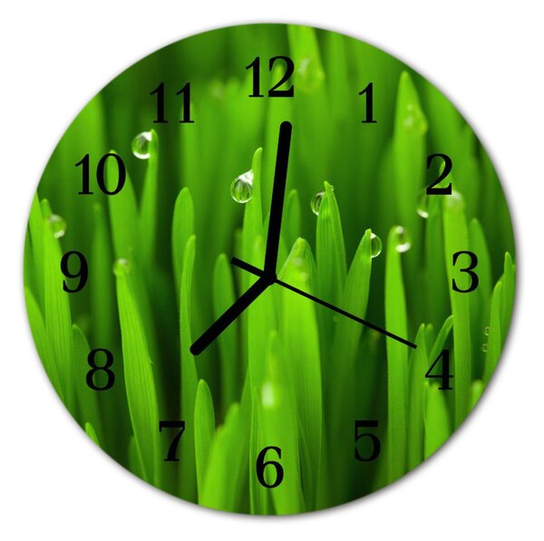 Zegar szklany okrągły Rosa na trawie