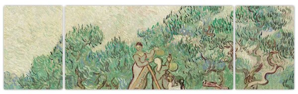Obraz - Vincent van Gogh, The Olive Orchard, reprodukcje (170x50 cm)