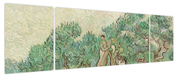 Obraz - Vincent van Gogh, The Olive Orchard, reprodukcje (170x50 cm)