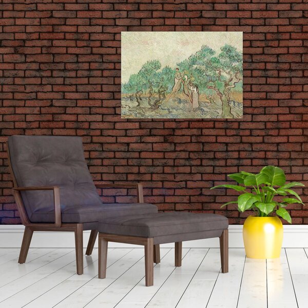 Obraz - Vincent van Gogh, The Olive Orchard, reprodukcje (70x50 cm)