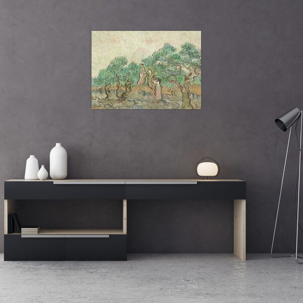 Obraz - Vincent van Gogh, The Olive Orchard, reprodukcje (70x50 cm)