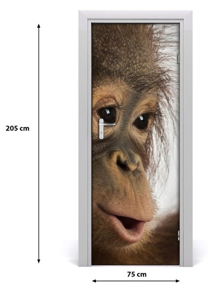 Naklejka samoprzylepna na drzwi Młody orangutan