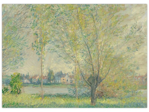 Obraz - Claude Monet, The Willows, reprodukcje (70x50 cm)
