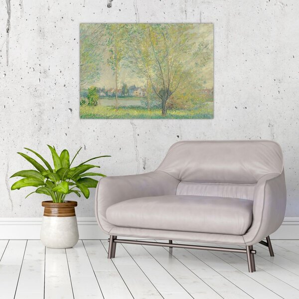 Obraz - Claude Monet, The Willows, reprodukcje (70x50 cm)