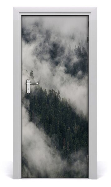 Naklejka fototapeta na drzwi Chmura nad lasem