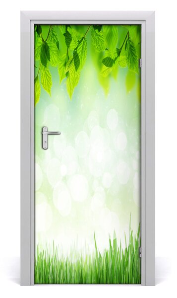 Nalepka Naklejka fototapeta na drzwi Liście i trawa