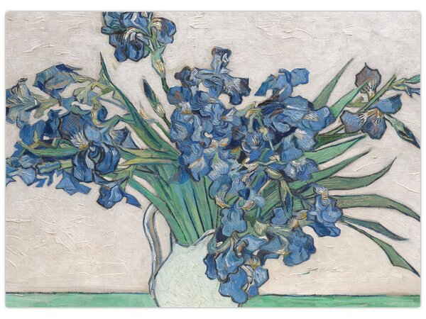 Obraz - Vincent van Gogh, Irises, reprodukcje (70x50 cm)