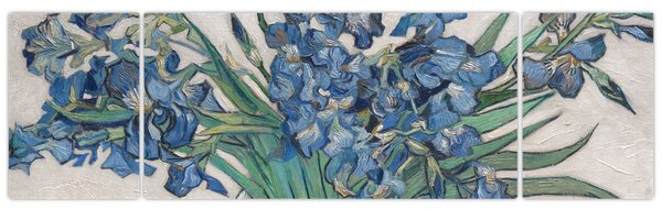 Obraz - Vincent van Gogh, Irises, reprodukcje (170x50 cm)