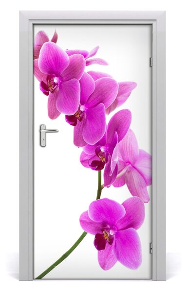 Naklejka samoprzylepna okleina Różowa orchidea