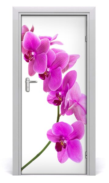 Naklejka samoprzylepna okleina Różowa orchidea