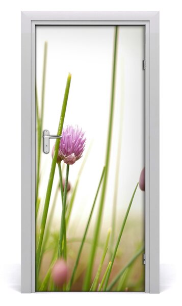 Okleina Naklejka fototapeta na drzwi Szczypiorek