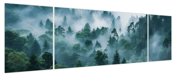 Obraz - Las we mgle (170x50 cm)