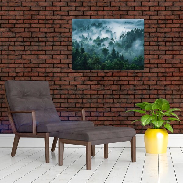 Obraz - Las we mgle (70x50 cm)