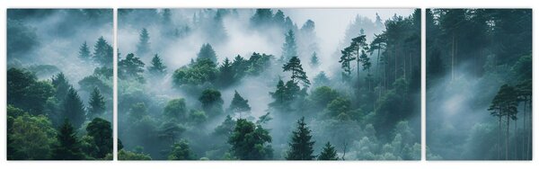 Obraz - Las we mgle (170x50 cm)