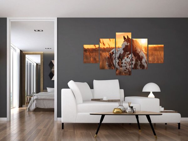 Obraz - Koń o zachodzie słońca (125x70 cm)