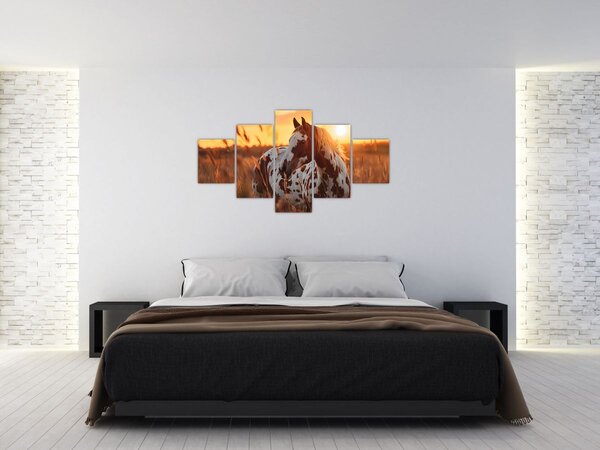 Obraz - Koń o zachodzie słońca (125x70 cm)