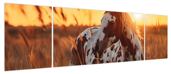 Obraz - Koń o zachodzie słońca (170x50 cm)