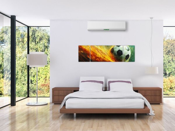 Obraz - Piłka nożna w locie (170x50 cm)