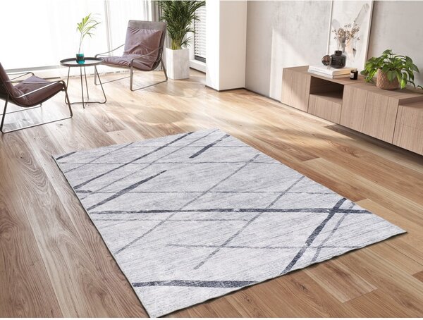 Jasnoszary dywan 160x230 cm Class – Universal