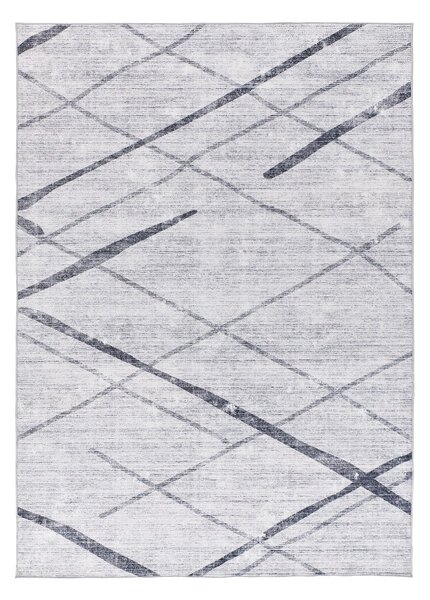 Jasnoszary dywan 160x230 cm Class – Universal