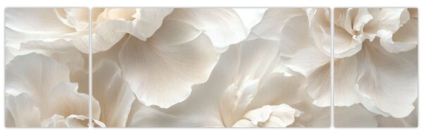 Obraz - Delikatne piwonie (170x50 cm)