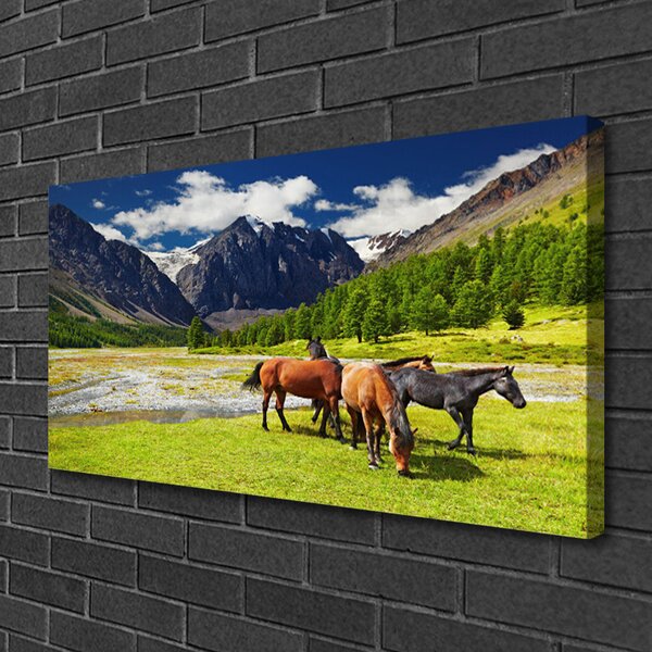 Obraz canvas Konie na Górskim Pastwisku