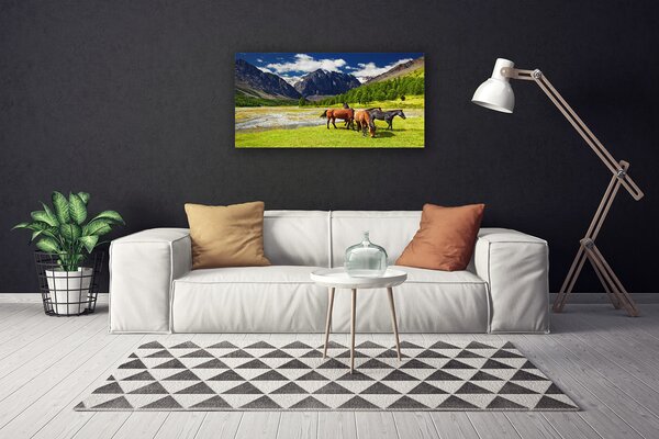 Obraz canvas Konie na Górskim Pastwisku