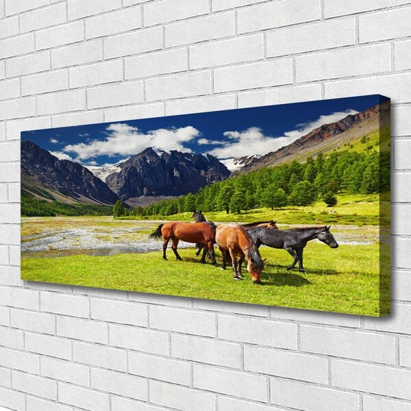 Obraz canvas Konie na Górskim Pastwisku